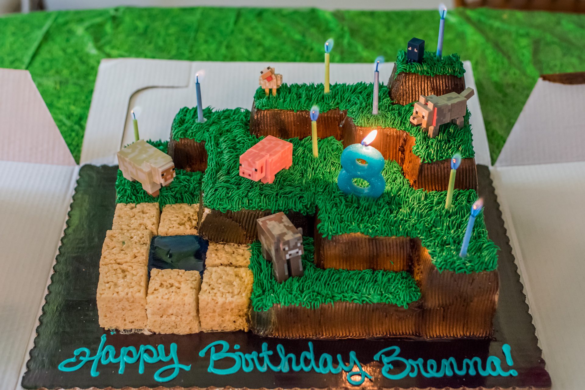 Minecraft Cake Minecraft Cake